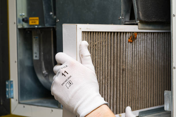 Best Ductwork Cleaning Services  in Groves, TX
